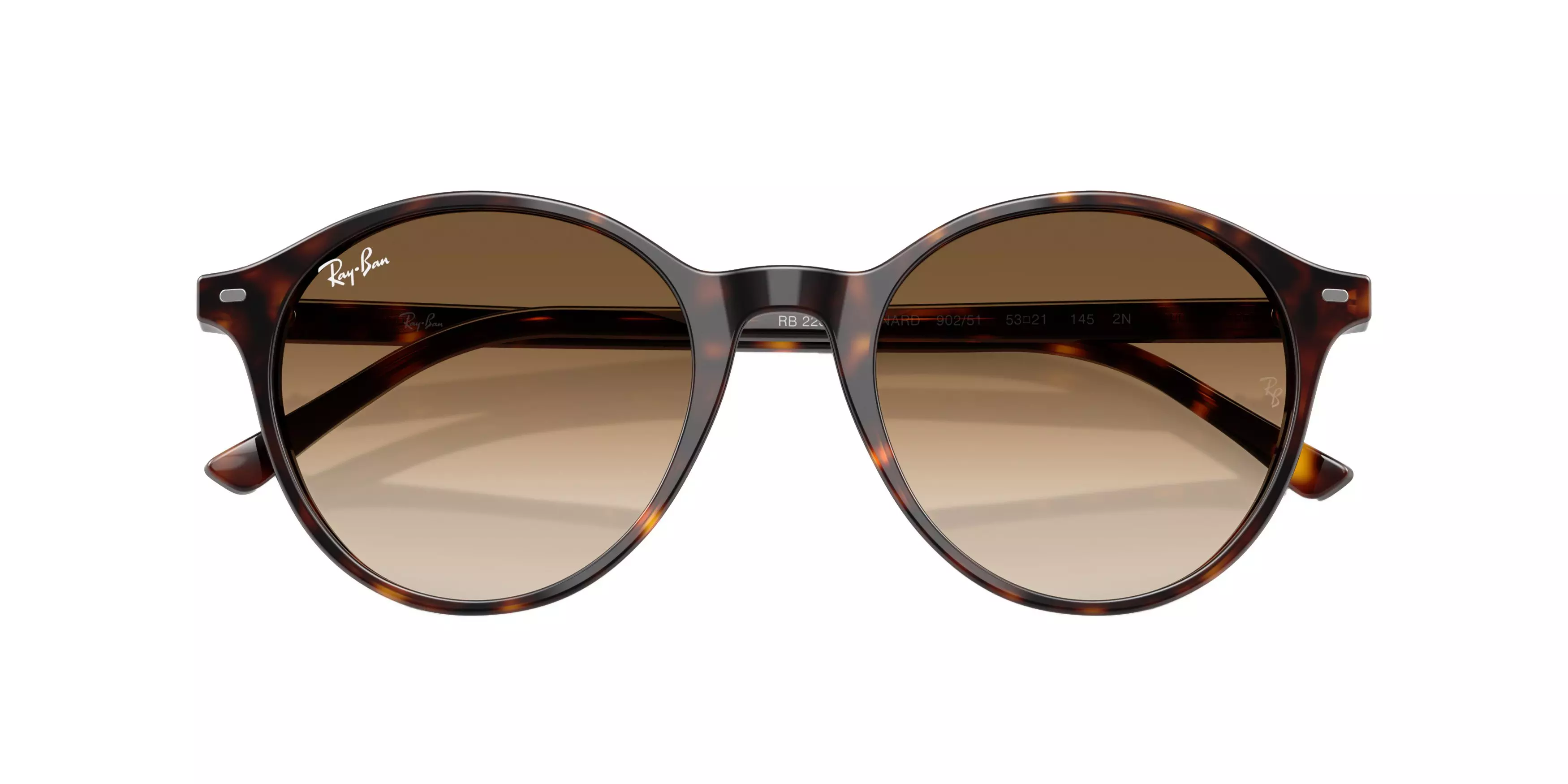 Ray-Ban Bernard Sunglasses - BROWN