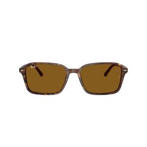 Ray-Ban Raimond Sunglasses