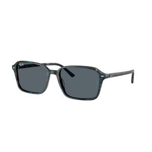 Ray-Ban Raimond Sunglasses