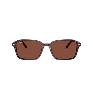 Ray-Ban Raimond Sunglasses