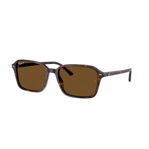Ray-Ban Raimond Sunglasses