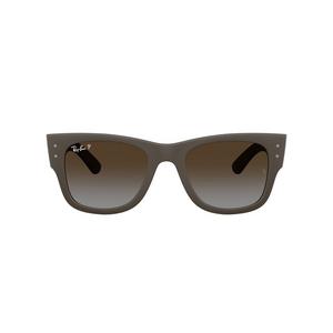 Ray-Ban RB4840S Sunglasses