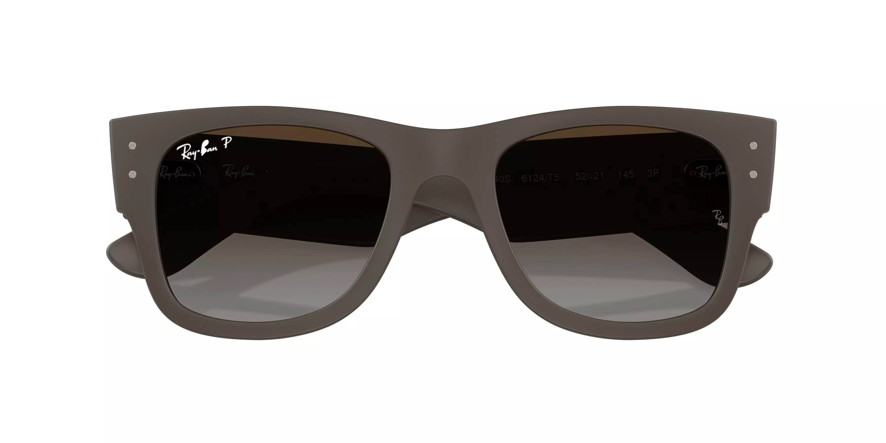 Ray-Ban RB4840S Sunglasses - BROWN