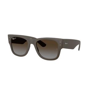 Ray-Ban RB4840S Sunglasses