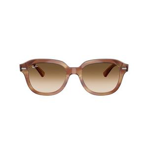 Ray-Ban Erik Sunglasses