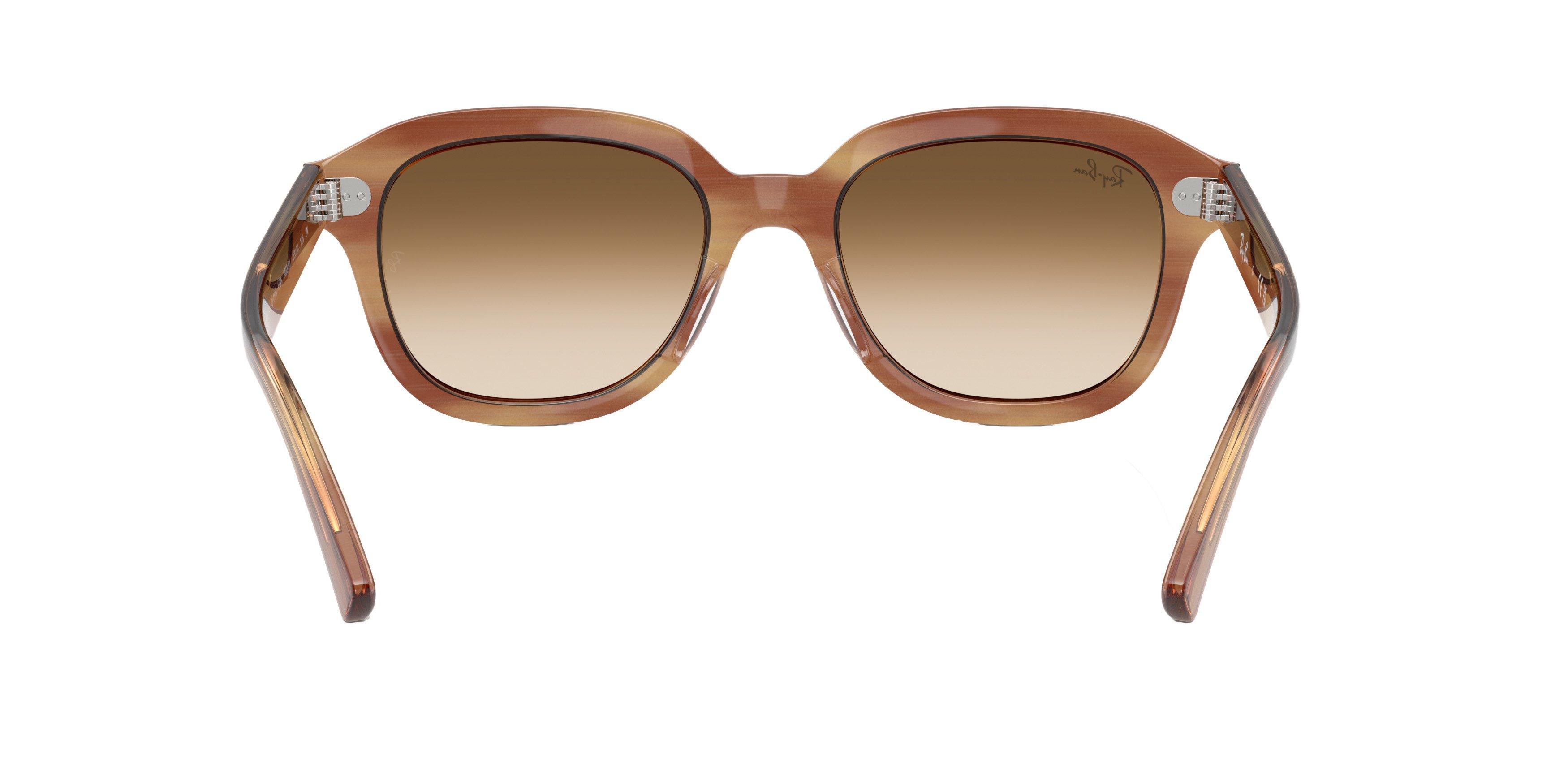 Ray-Ban Erik Sunglasses - BROWN Thumbnail View 3