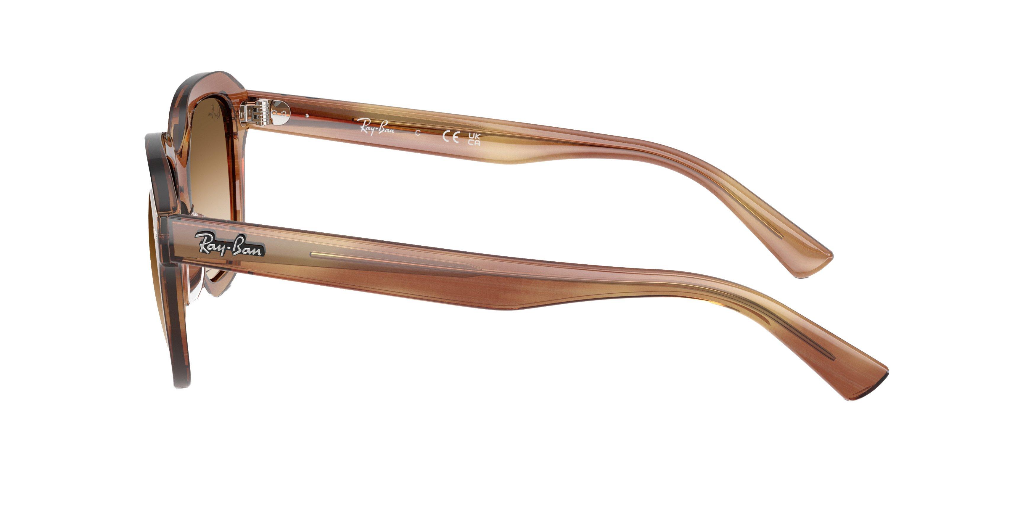 Ray-Ban Erik Sunglasses - BROWN Thumbnail View 4