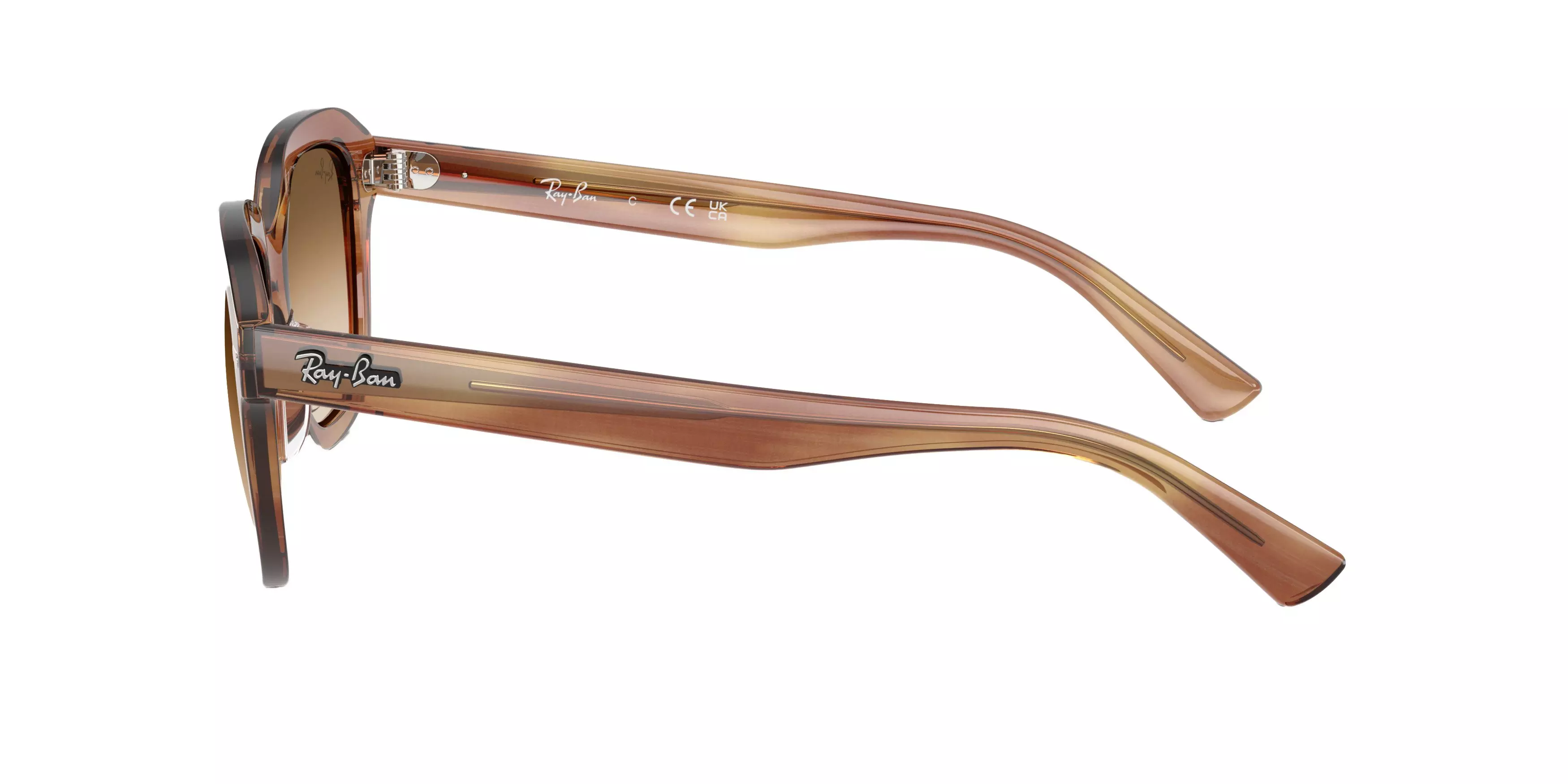 Ray-Ban Erik Sunglasses - BROWN