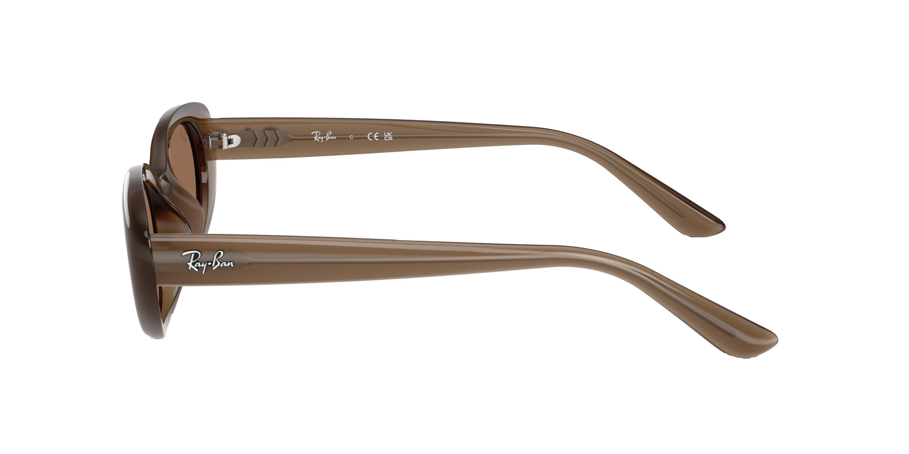 Ray-Ban RB4441D Sunglasses - BROWN Thumbnail View 4