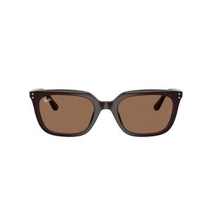 Ray-Ban RB4439D Sunglasses