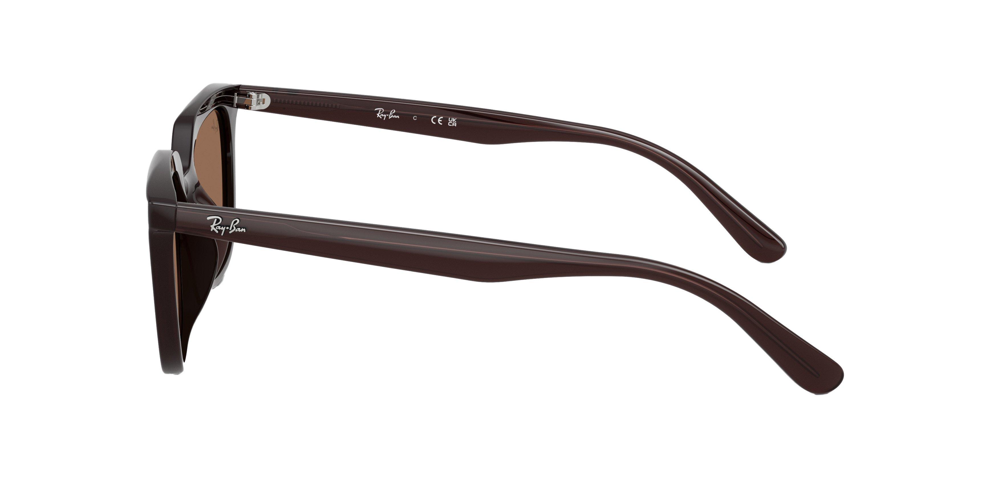 Ray-Ban RB4439D Sunglasses - BROWN Thumbnail View 4