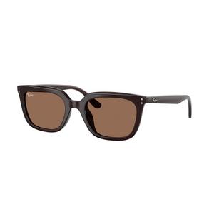Ray-Ban RB4439D Sunglasses