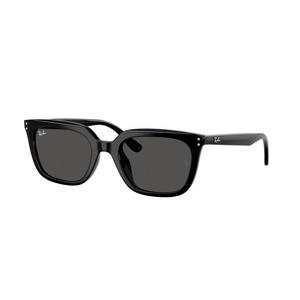 Ray-Ban RB4439D Sunglasses