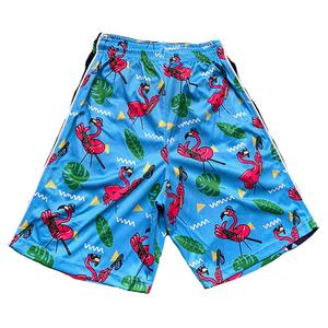 Flow Society Big Boys' Flamingo Flow​ Attack Shorts -Blue