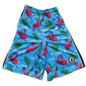 Flow Society Big Boys' Flamingo Flow​ Attack Shorts -Blue