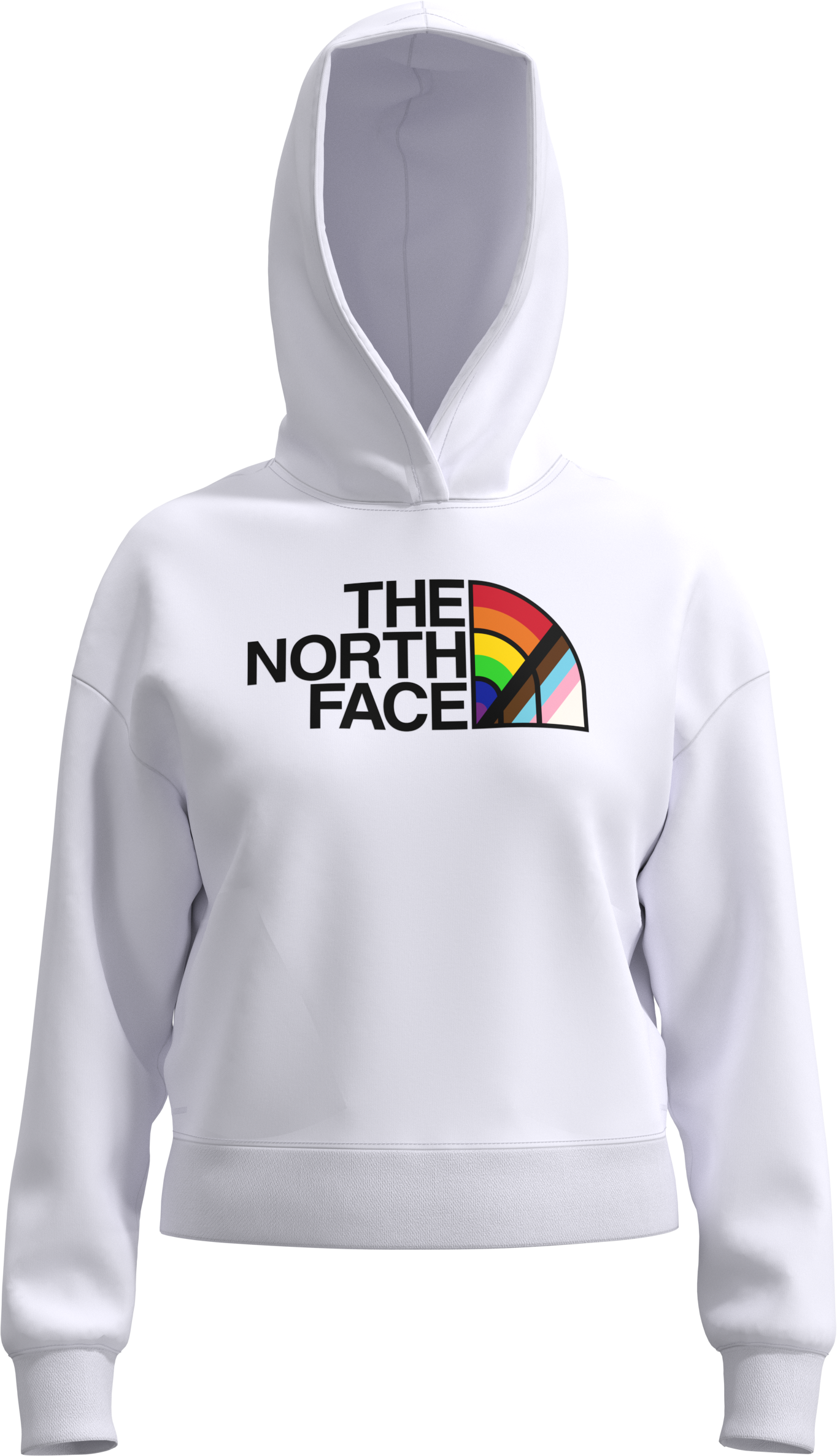 the north face pride hoodie sweatshirt