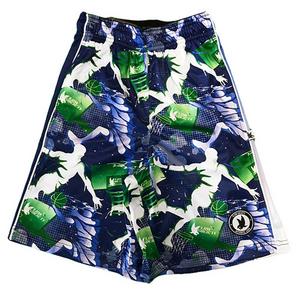 Flow Society Big Boys' Flow Dunk Blue/Green Shorts