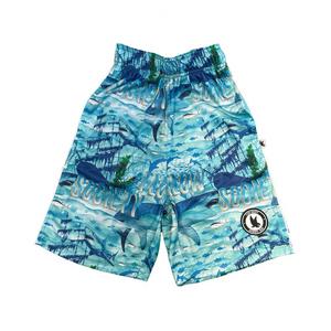 Flow Society Big Boys' Great White Shipwreck Shorts -Blue