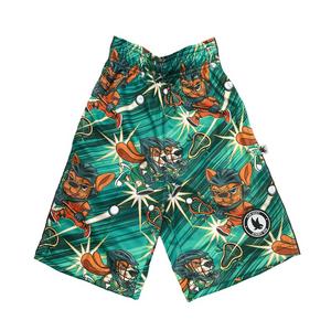 Flow Society Big Boys' Laxing Pups Shorts -Green