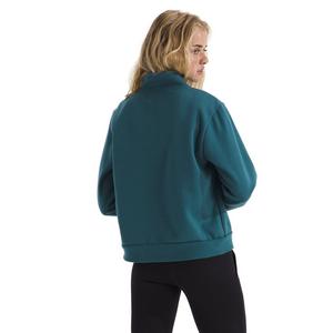 The North Face Women's Evolution EMB 1/4-Zip -COLOR