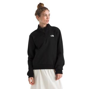 The North Face Women's Evolution EMB 1/4-Zip -Black