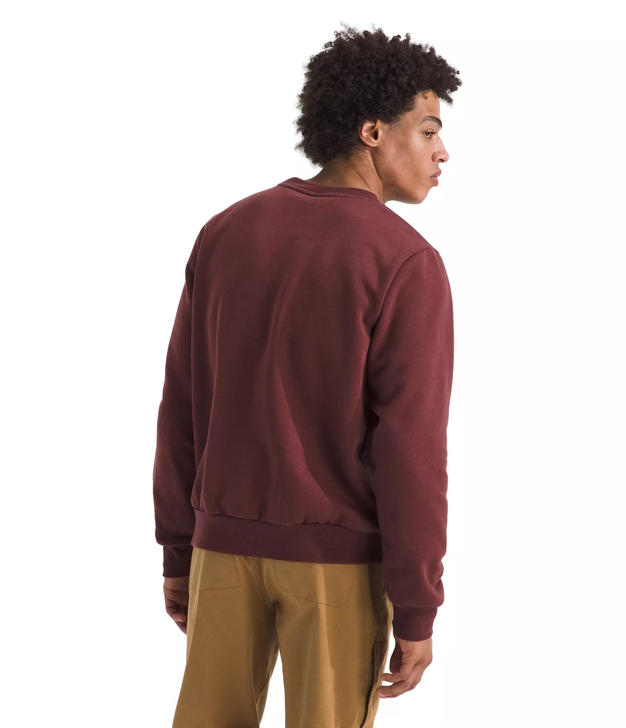 The North Face Men's Evolution Simple Dome Crewneck Sweatshirt - Dark Red - DARK RED