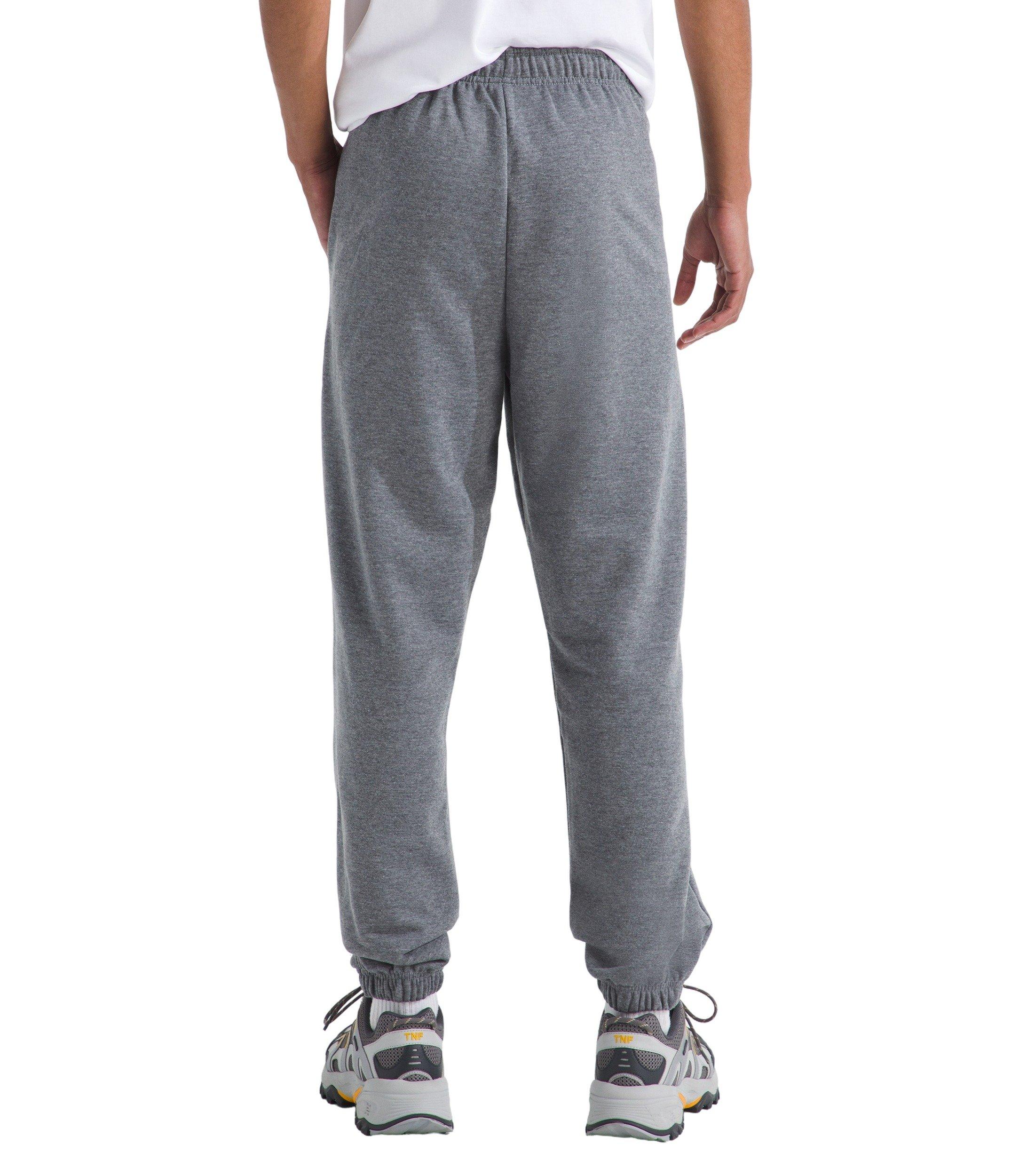 The North Face Men's Evolution Simple Dome Regular Pant - Grey - GREY Thumbnail View 2