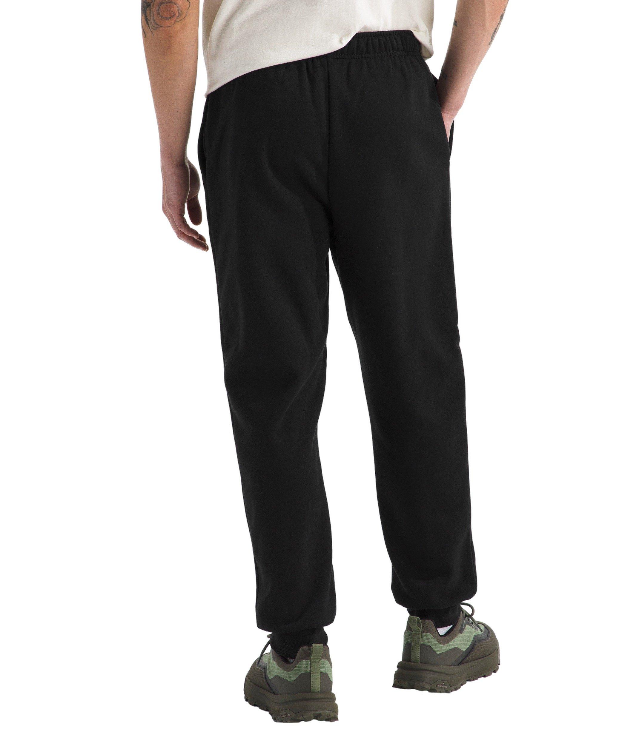 The North Face Men's Evolution Simple Dome Regular Jogger - Black - BLACK Thumbnail View 2