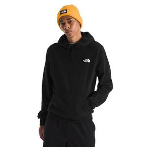 The North Face Men's Evolution Box NSE Hoodie - Black