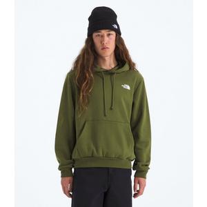 The North Face Men's Evolution Box NSE Hoodie - Green