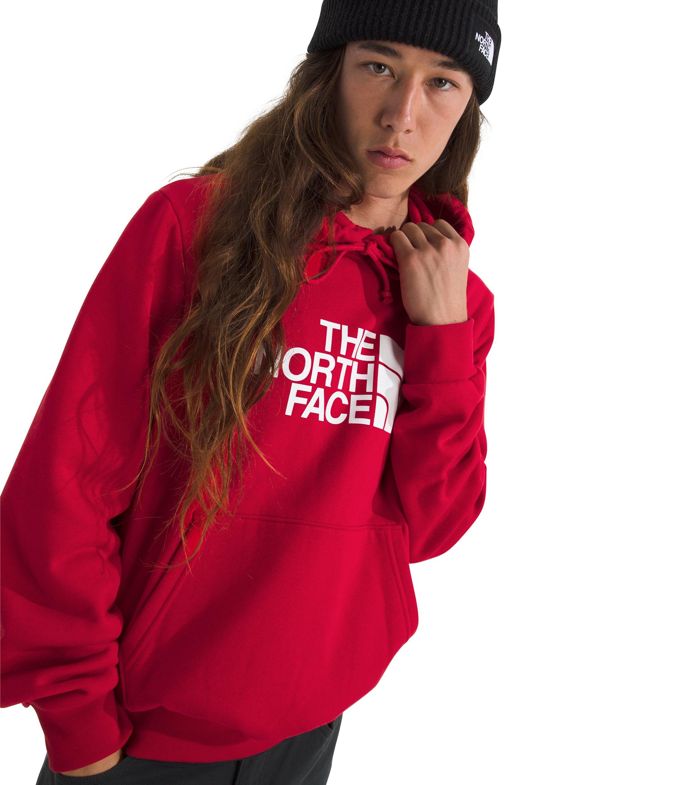 The North Face Men's Evolution Half Dome Regular Hoodie - Red - RED Thumbnail View 3