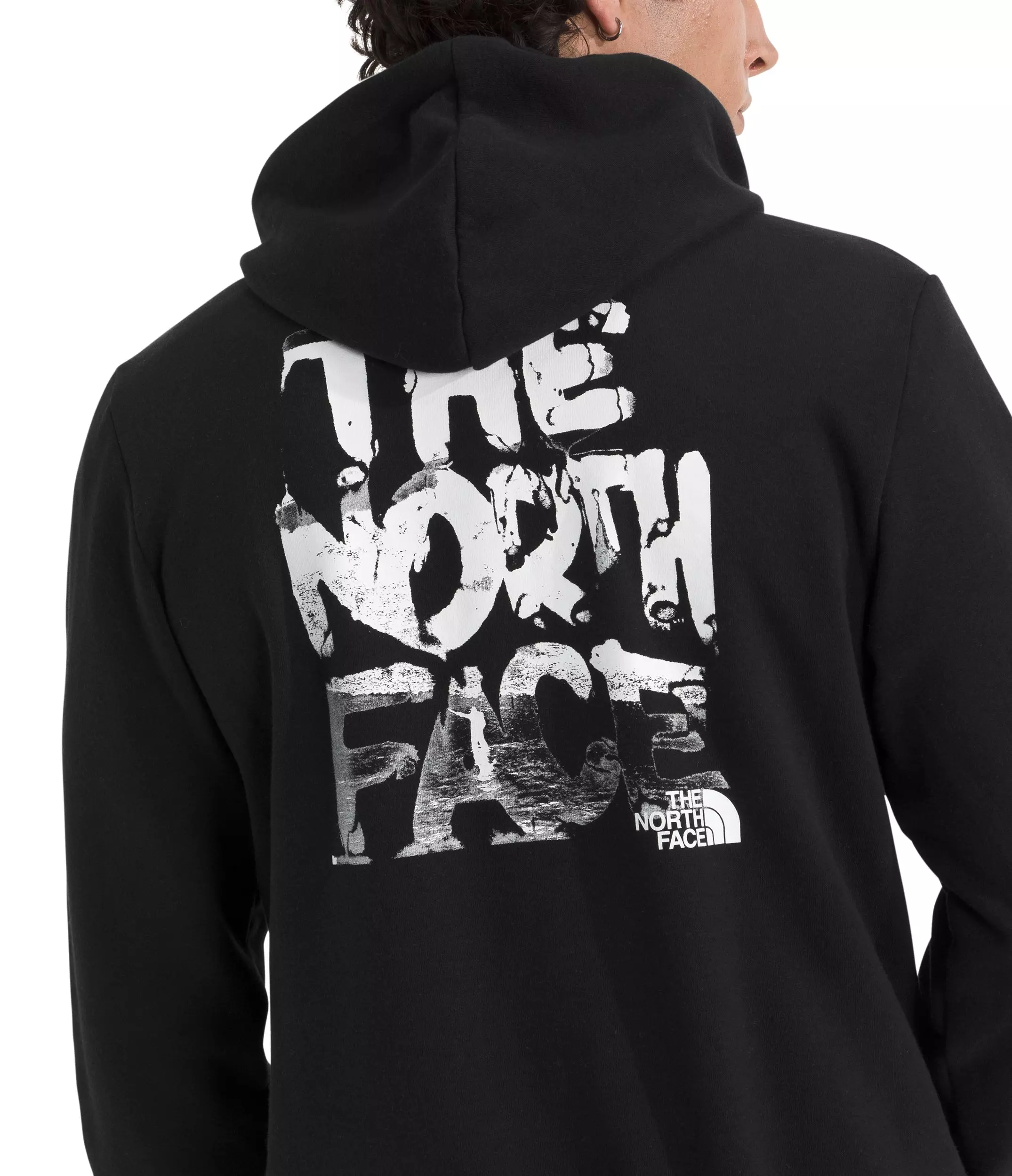 The North Face Men's Evolution Nature Exposure Graphic Hoodie - Black - BLACK