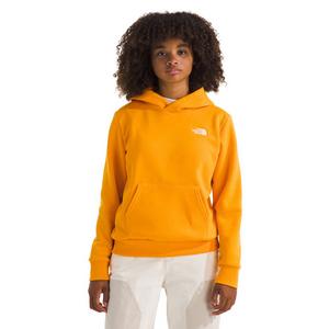 The North Face Big Kids' Evolution Simple Dome Pullover Hoodie - Gold
