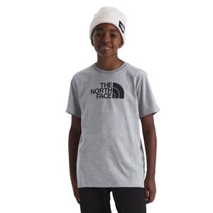 The North Face Big Kids' Evolution Half Dome Short Sleeve Tee - Grey