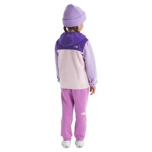 The North Face Little Kids' Glacier Full Zip Hooded Jacket - Purple