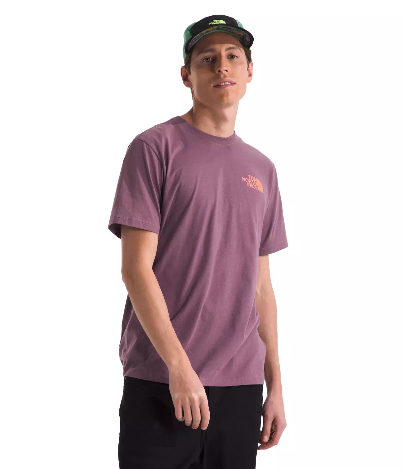 The North Face Men's Short Sleeve Brand Proud Graphic T-Shirt -Purple - PURPLE
