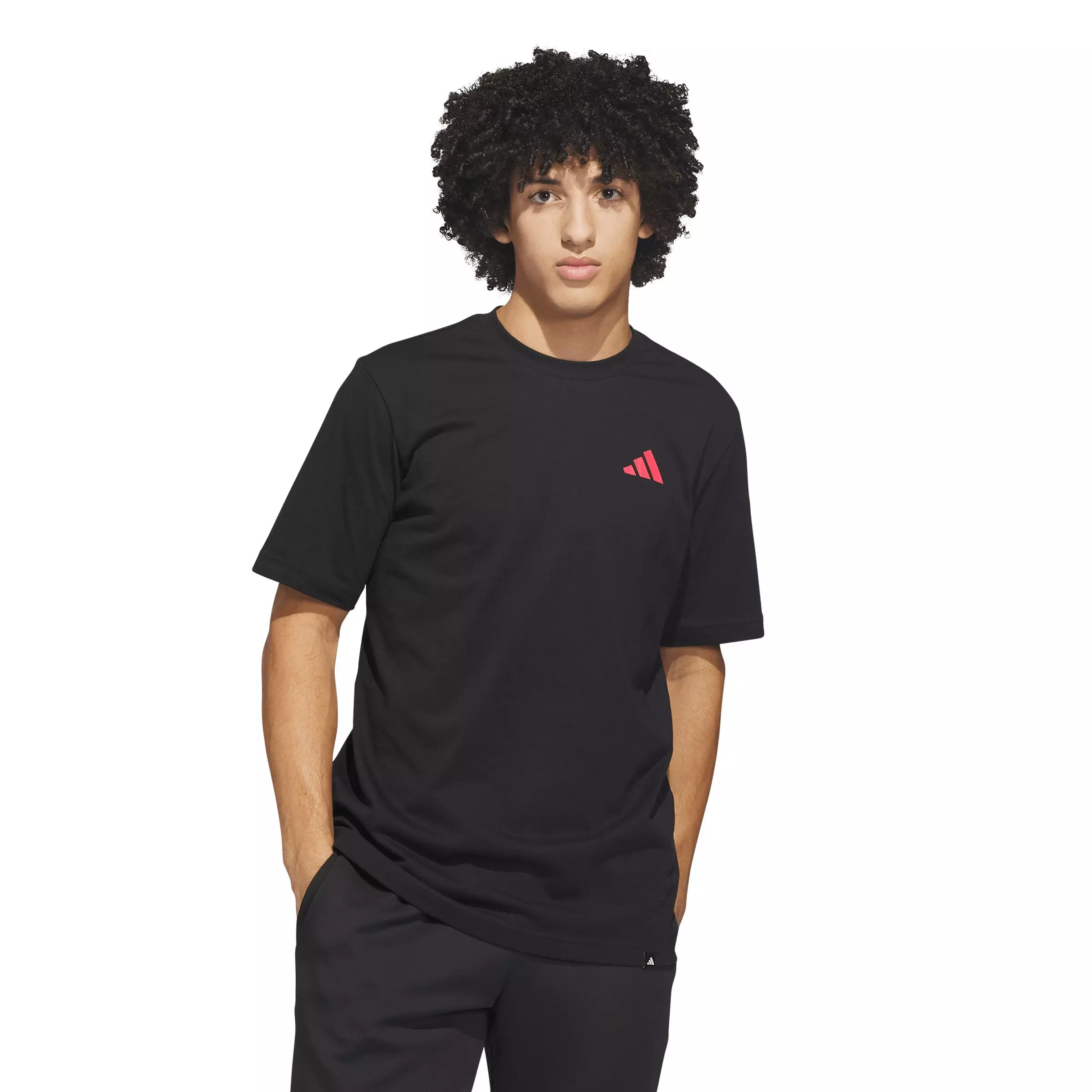 adidas Men's Everyday Getaway Graphic T-shirt - Black - BLACK