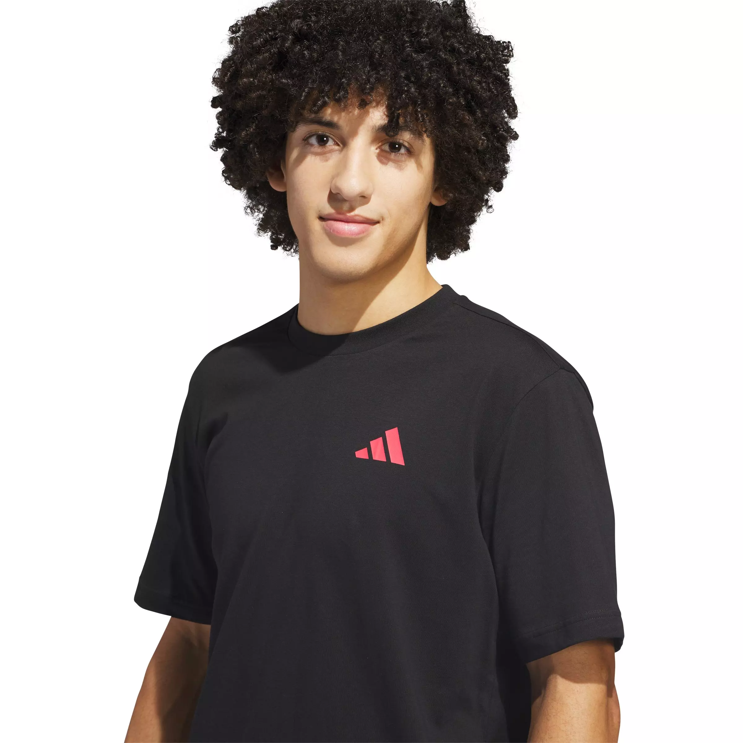 adidas Men's Everyday Getaway Graphic T-shirt - Black - BLACK