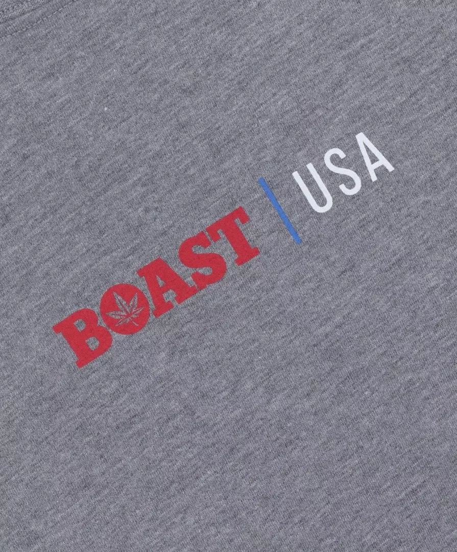 Boast Men's USA Tee - Grey - GREY