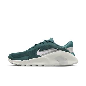 Nike Flex Train "Mineral Slate/Spruce Aura/Photon Dust/White" Men's Training Shoe