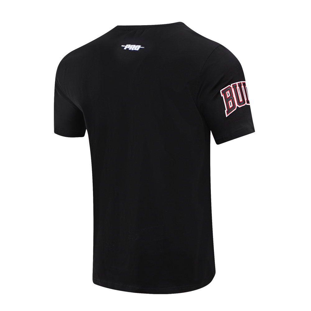 DT6003 PRO STANDARD Chicago Bulls セットアップ 4043I_0001_main