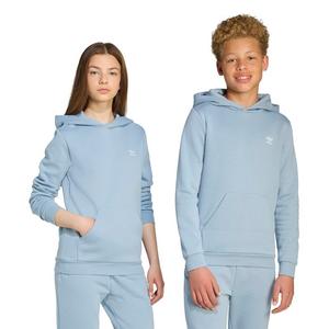 adidas Originals Big Kids' Essentials Hoodie -Tactile Blue