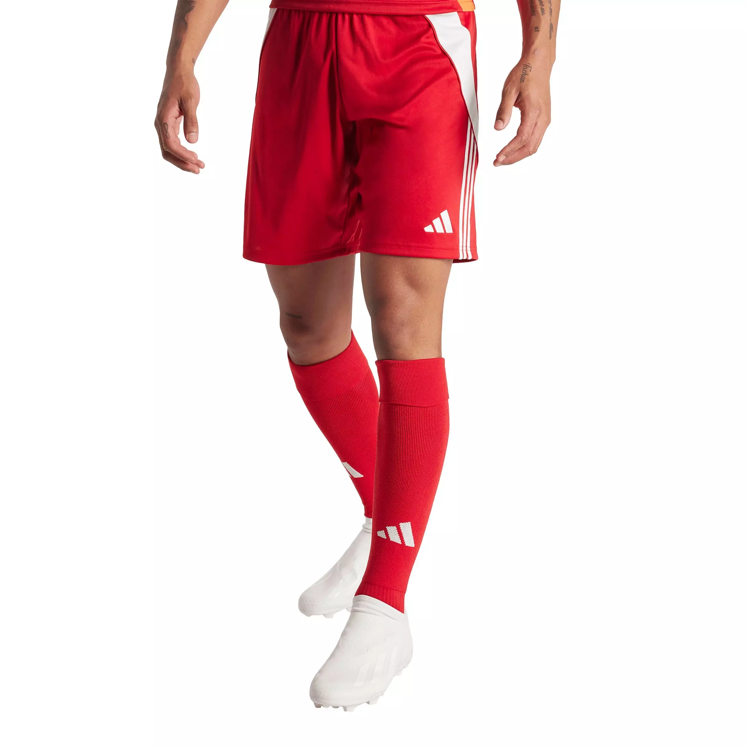 adidas Men's Tiro 24 Soccer Shorts - Red - RED
