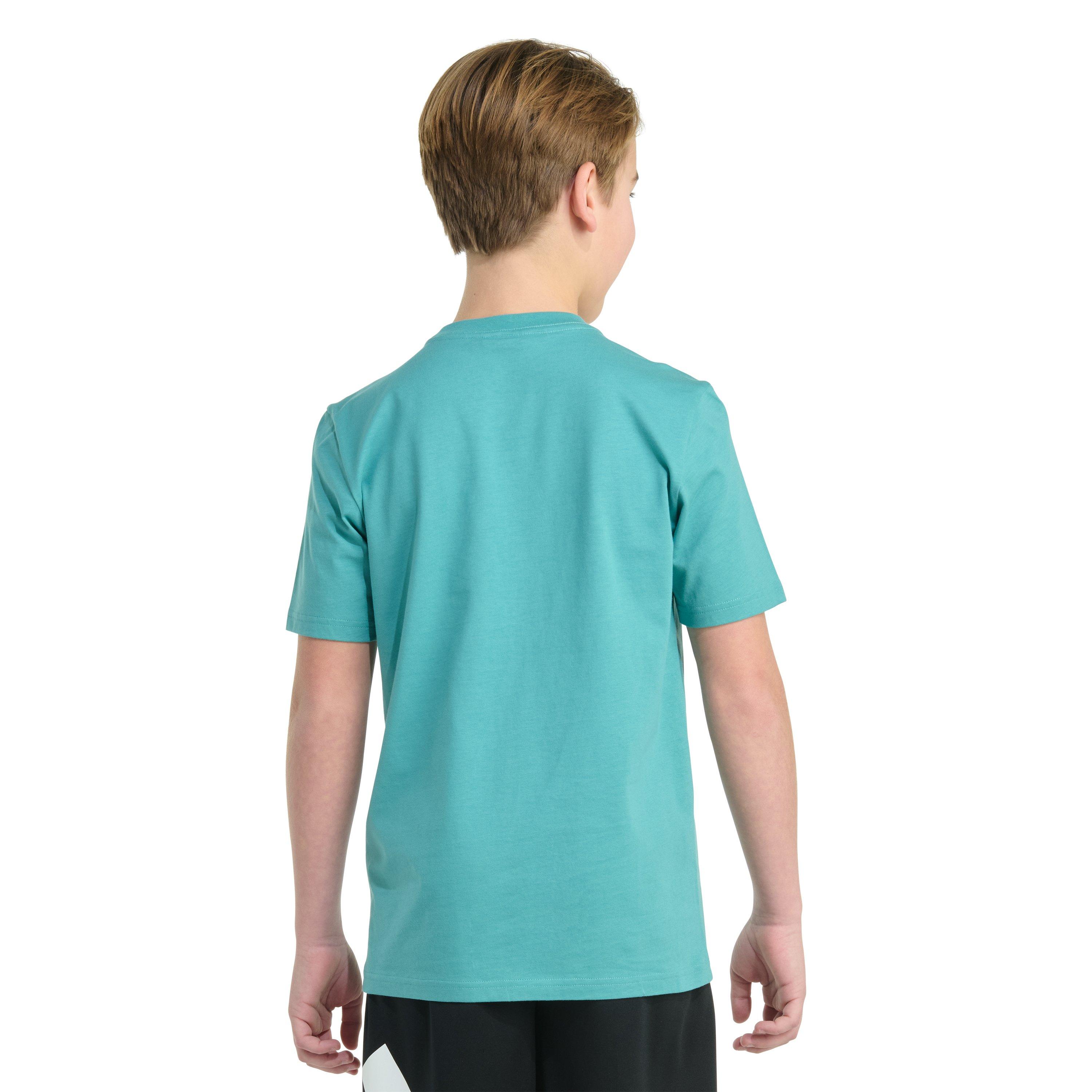 adidas Short Sleeve Cheese Stripe Life Big Boys' Teal Tee
