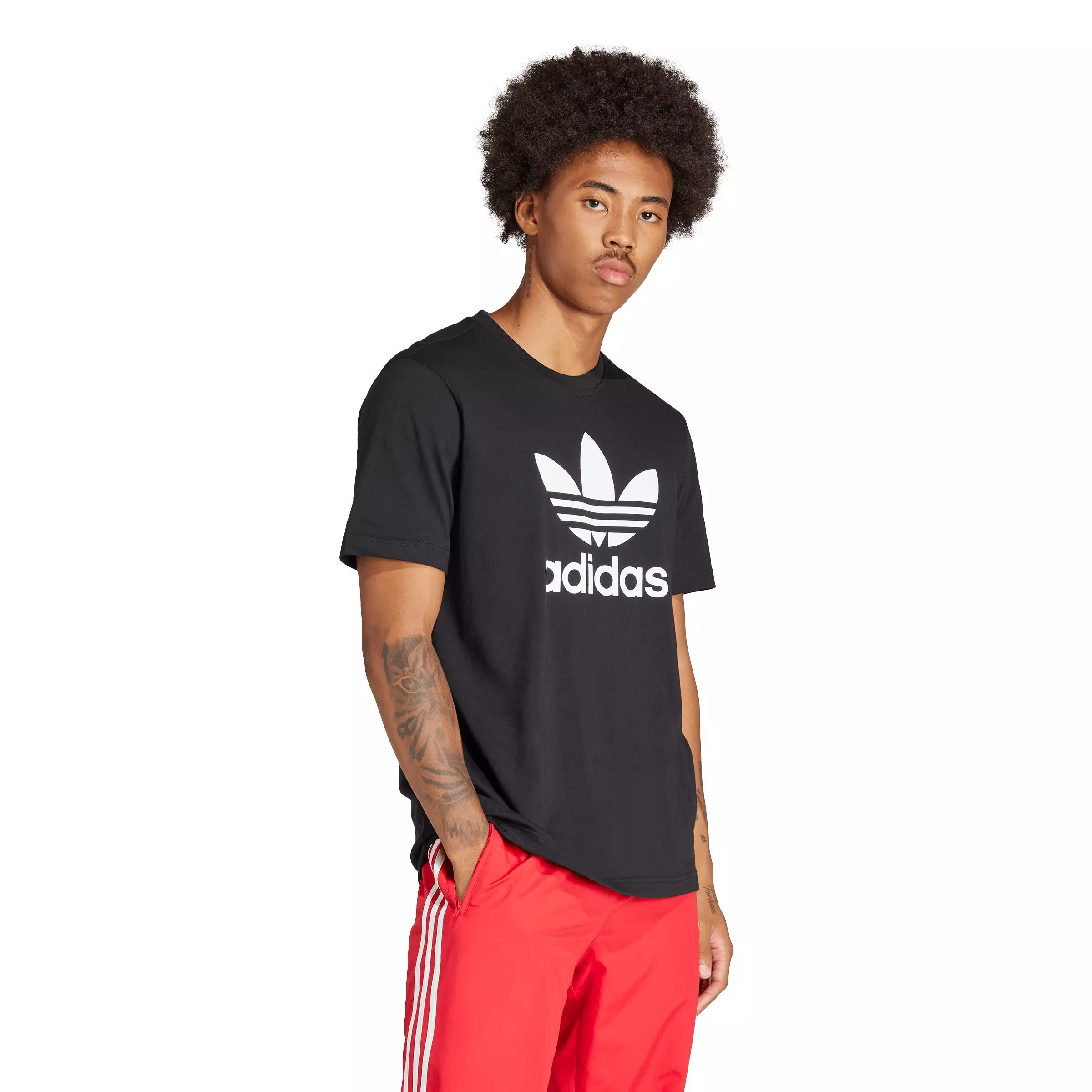 adidas Originals Men's Adicolor Trefoil T-Shirt - Black - BLACK