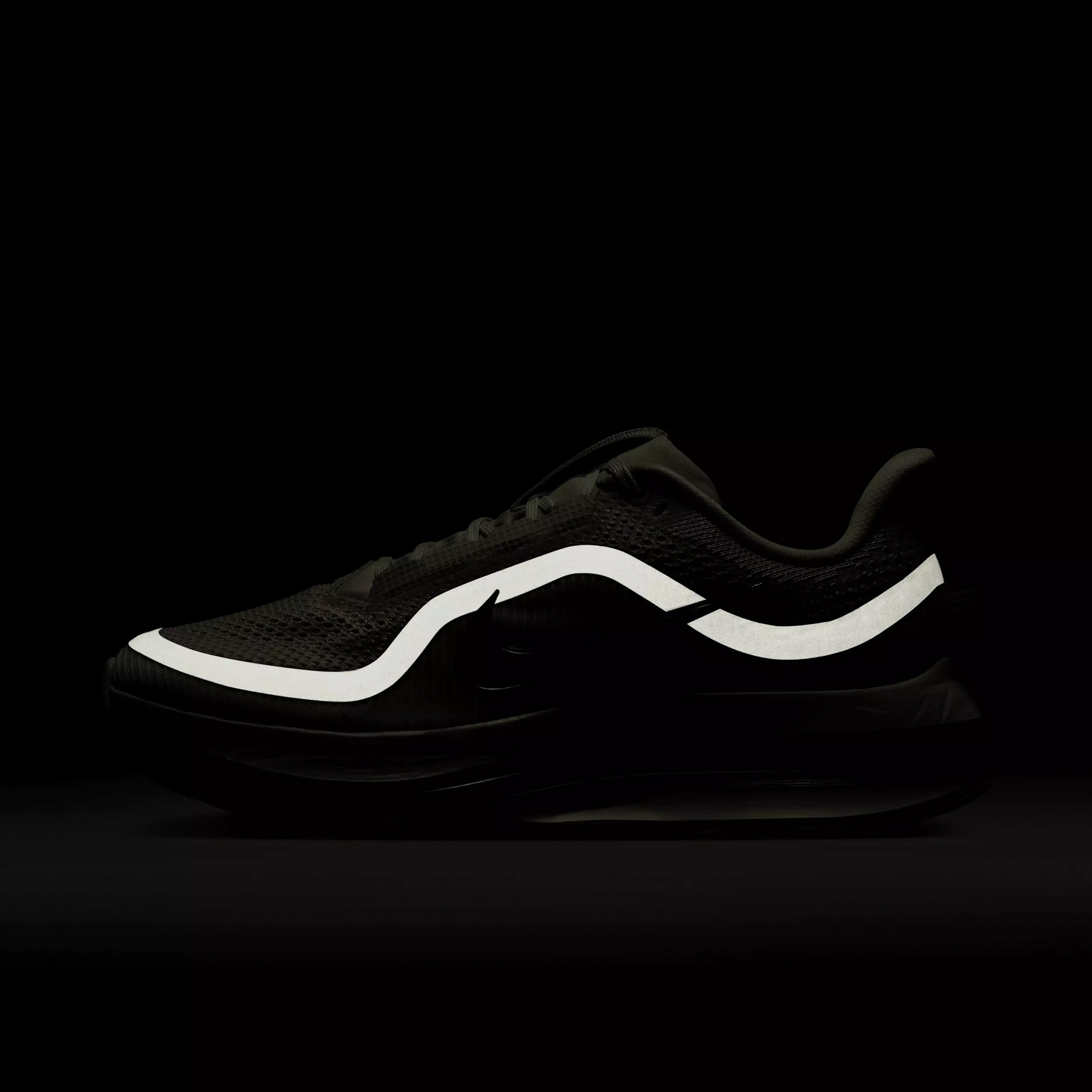 Nike Pegasus Premium "Sea Glass/Malachite/Light Silver/Metallic Silver" Women's Road Running Shoe - GREEN/SILVER