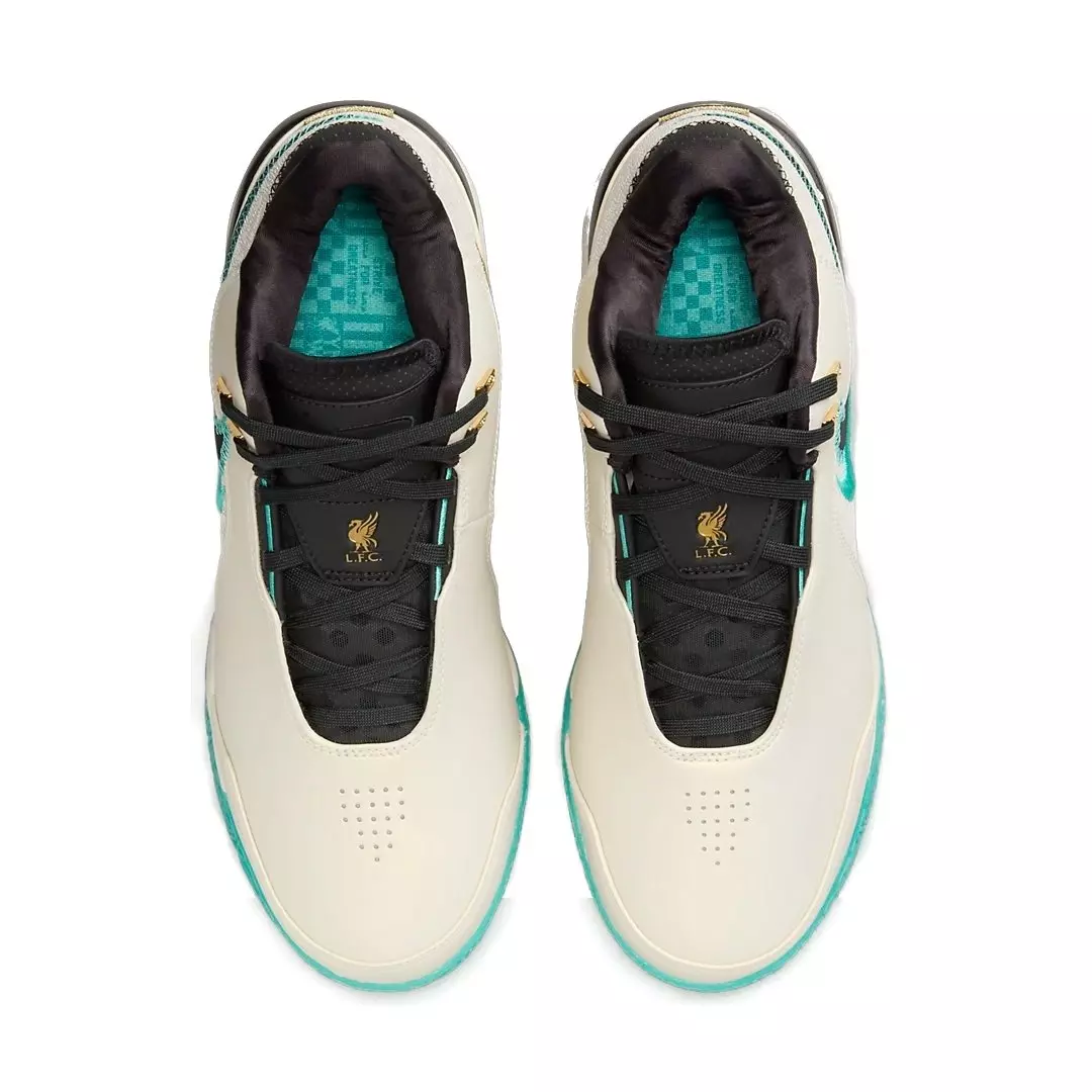 Nike LeBron NXXT Gen AMPD "Light Orewood Brown/Washed Teal-Metallic Gold-Black" Men's Basketball Shoe - LT BROWN/TEAL/BLACK
