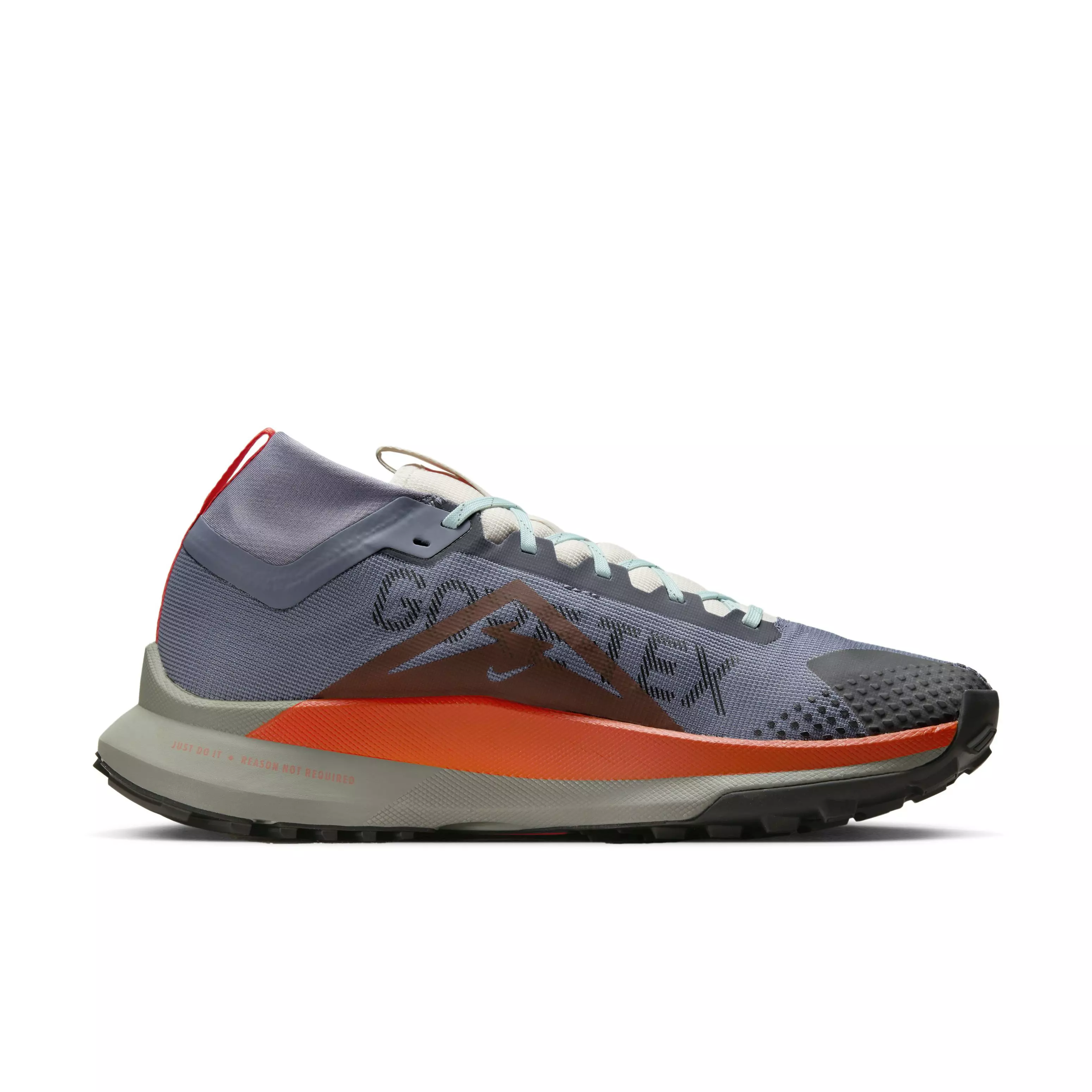 Nike Pegasus Trail 4 GORE-TEX "Light Carbon/Dark Stucco/Light Orewood Brown/Cosmic Clay" Men's Trail Running Shoe - LT CARBON/DK STUCCO/LT BROWN/CLAY