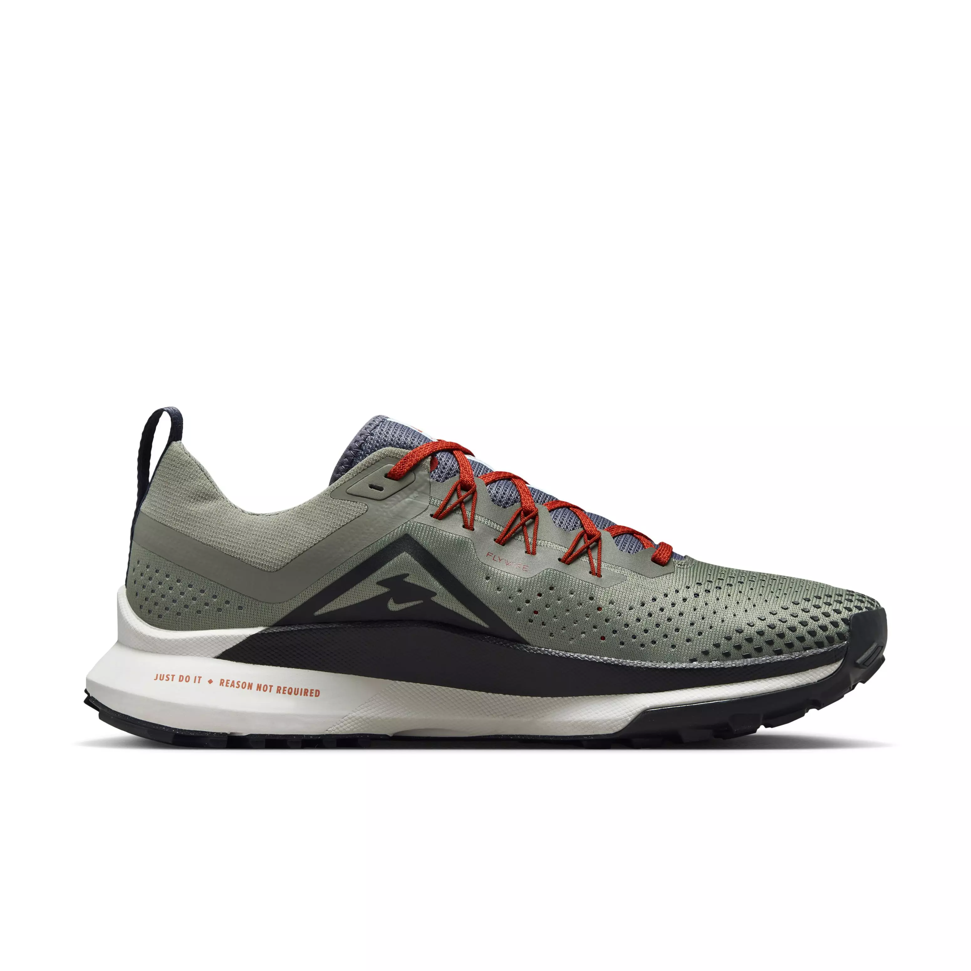 Nike Pegasus Trail 4 GORE-TEX "Dark Stucco/Light Orewood Brown/Cosmic Clay/Black" Men's Trail Running Shoe - DK STUCCO/LT BROWN/CLAY/BLACK