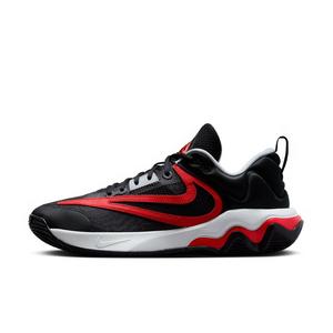 Nike Giannis Immortality 3 "Black/Pure Platinum/Wolf Grey/University Red" Men's Basketball Shoe
